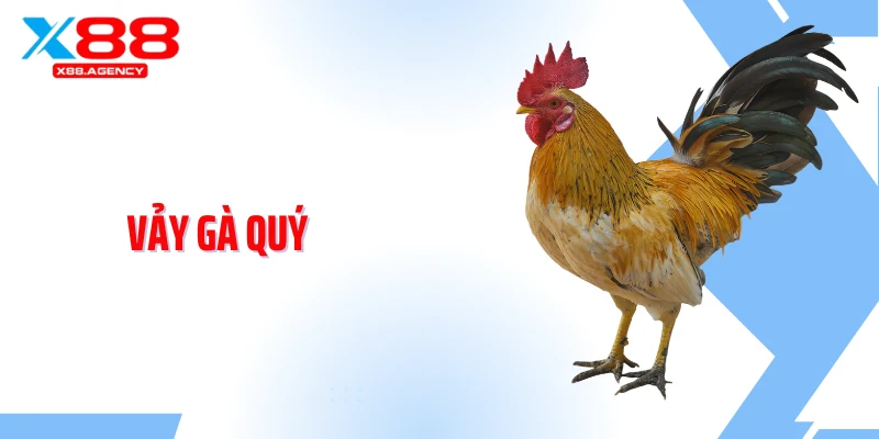 Vảy Gà Quý